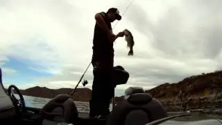 D.V.L Bass Fishing
