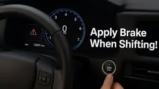 2022-2024 Lexus NX250 NX350 common problem fix Apply Brake Warning Message when Shifting out of Park