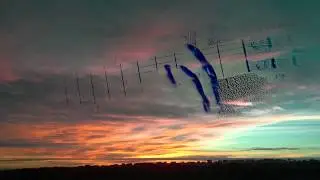 Libre - Paradoxus luporum