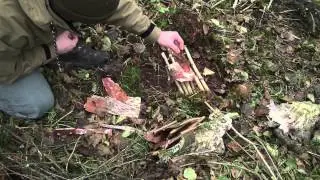 Fire lighting with Birch and Rowan Bark