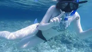 2018 Senior Trip - Epic Bahamas Charter - Upbeat