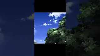 Real Life Speed-o-Sound Sonic 