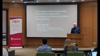 The evolution of three evidence-based interventions to promote healthy child development