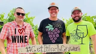 Colorado wine makers Sauvage Spectrum talk about agriculture with Talbott's Cider Co.