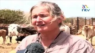 Laikipia ranch invasions: Rumuruti residents decry police harassment