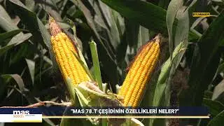 MAS 78.T - DİYARBAKIR