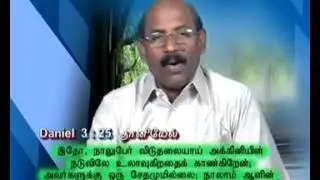 WordisLive TV