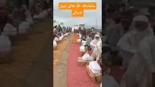 Flood relief pmml Pakistan 2025 #shortsviral #helpthemfoundation #welfare #flood #puwf #floodnews
