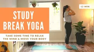 STUDY BREAK YOGA | Relax & Move Your Body | Exam Stress Recovery | Yoga for Desk Workers | 12MIN