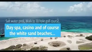 Aruba Haven Summer Beach Rental