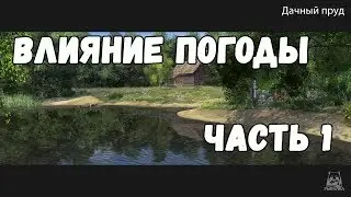 ВЛИЯНИЕ ПОГОДЫ В РУССКОЙ РЫБАЛКЕ 4 • ЧАСТЬ 1 • ДАЧНЫЙ ПРУД • РР4