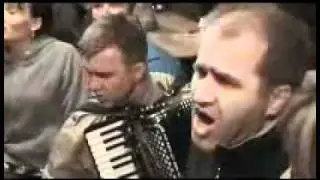 Brisevo 2010-2