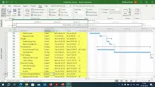 Learning MS Project Session 8 (Highlight Critical Path)
