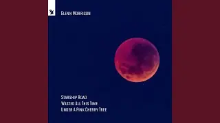 Under A Pink Cherry Tree (Extended Mix)