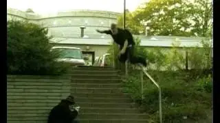 ADAPT Trailer