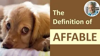 What Is the Definition of AFFABLE? (Illustrated Example)