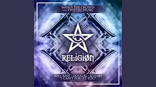 I Can't Forget You (Original Mix)