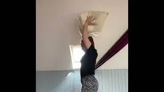 Mildred's Workout of the Week - The Pillow Workout!