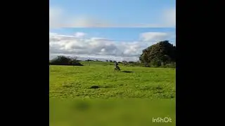 12.2 working Hunter Pony