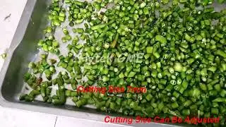 High Speed Green Chilli Cutting Machine | Commercial Green Chilli Chopping | Pickle Cutting Machine
