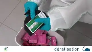 D&eacute;ratisation par un professionnel