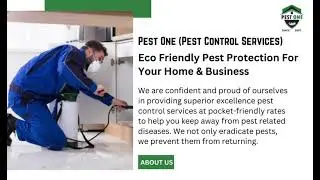 Pest Control Services Udaipur - Pest Control Services Near Me
