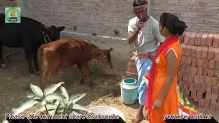 Bhojpuri Comedy Film - Pyaar Ek Jhalak - प्यार एक झलक - NS Films