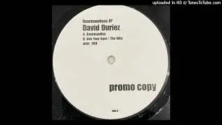David Duriez - The Why
