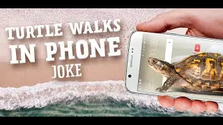 Turtle Walks in Phone Joke - Android Turtle Simulator