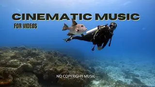 Cinematic Background Music | No Copyright Free Emotional Music | Trailer Royalty Free Music.
