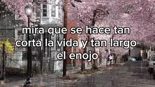 Como la tierra a la lluvia.(letra). Daniel Santacruz.