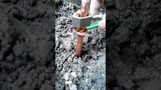 Conexi&oacute;n de polo tierra