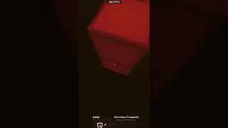 op bed war short
