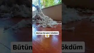 Yun çırpmağı bacaran var? anam ilə maraqlı söhbətimiz🤭 #how #food #resept #kəndhəyatı #kəndimiz