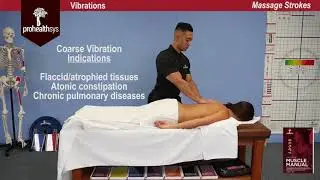 Awesome Massage   Vibrations Vizniak