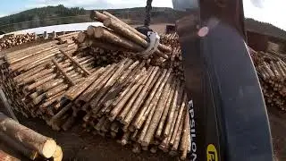 Unloading a load of timber on a Timbertruck #19