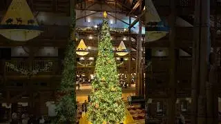 Disney Fort Wilderness room Tour Jan 2026