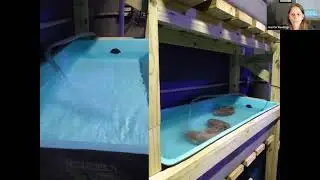 Riverbanks Zoo is saving Florida Reef Tract Corals