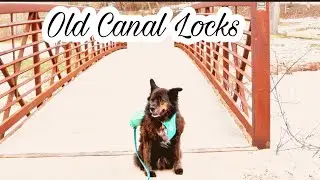 Walking Vlog: the Old Canal Locks
