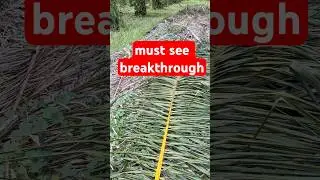 The greatest innovation for composting breakthrough VERTIVER GRASS ￼ Technology solutions  7.9.2025