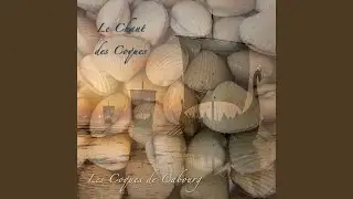 La balade des coques de cabourg