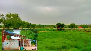 Famous dhaba tea live on Motorway Islamabad to Lahore | Dhaba Chae live