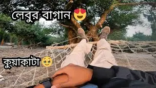 লেবুর বাগান 😍। ঢাকা টু কুয়াকাটা | Dhaka to Kuakata