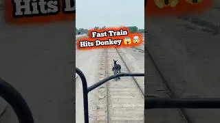 Train Hits Donkey 😱 #viralvideo #shorts #shortsvideo #train #hits #donkey #😱