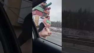 fat women riding on pig funny video #funnyvideos #funn #fatlady #sorai
