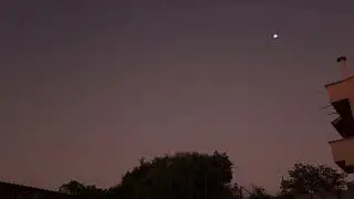 Atardecer en ATPX  #viral #pajaro pajaro