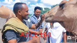 የሚገርም ነገር #ሙለወርቅ አድሴ ( ሳሳ መገና#ተጋበዙልኝ