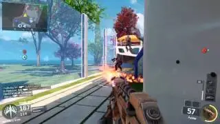 Shmega kill