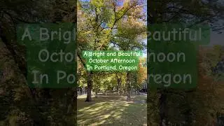 #somewhereonlyweknowlyric #portlandoregon #fall2025 #oregon #fall #viral #viralshorts #october #tree