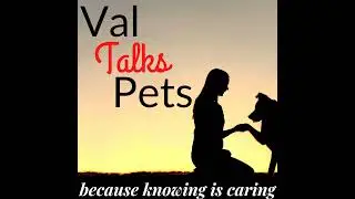 Inside the World of Cadaver Dogs &ndash; Interview with Debera Salo - Audio
